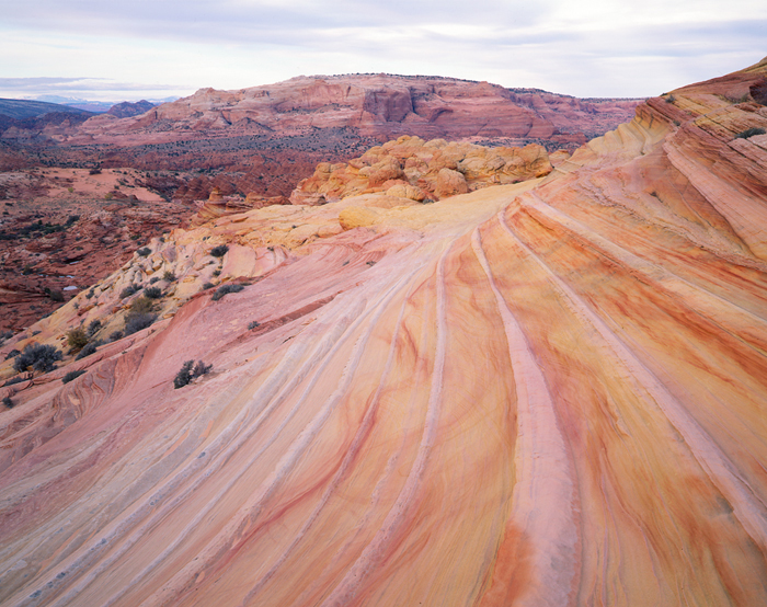The Wave Paria Plateau, Arizona