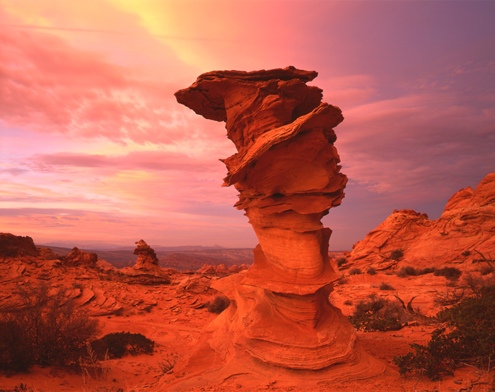 Cottonwood Cove Dali Rock, Arizona - Tirage Cibachrome