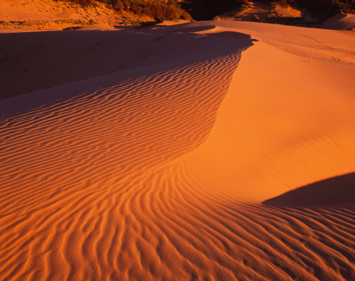 Coral Pink Sand Dune, Utah - Tirage Cibachrome