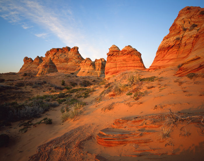 Cottonwood Cove Coyote Buttes, Arizona
