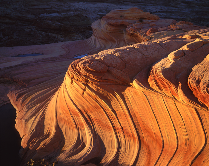 The Wave Vermilion Cliffs, Arizona