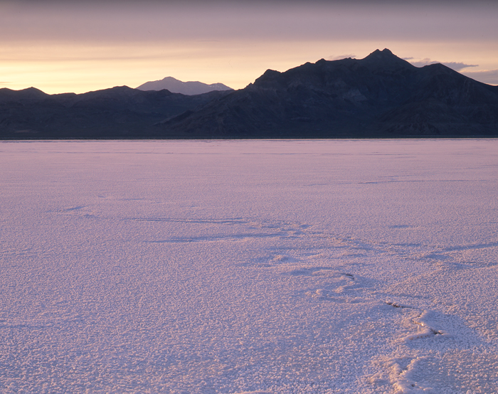Bonneville Salt Flats, Utah