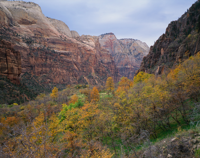 Zion Canyon National Park, Utah