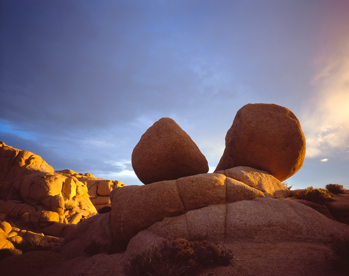 Jumbo Rock, Joshua Tree, California