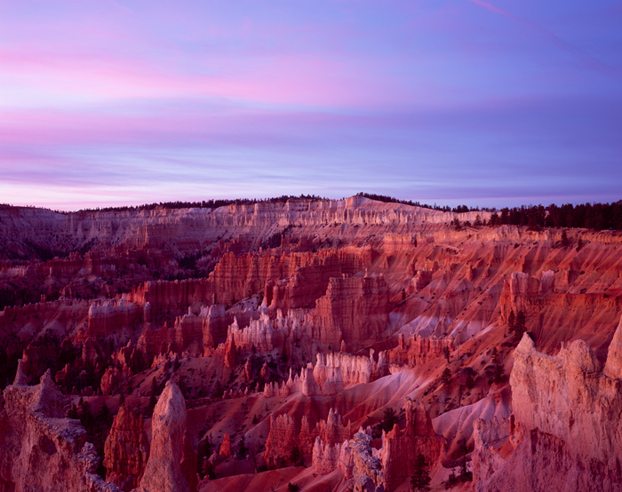 And the light comes thru, Bryce Canyon, Utah