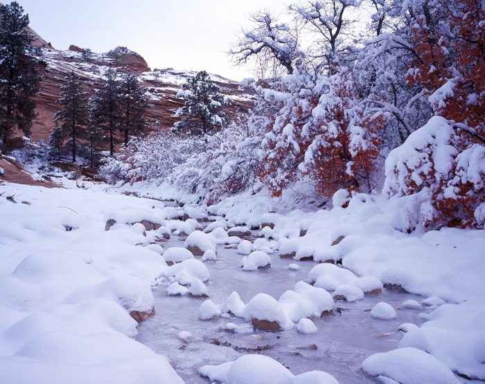 Zion National Park, Utah