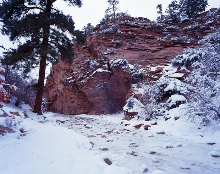 Zion Frozen, Utah