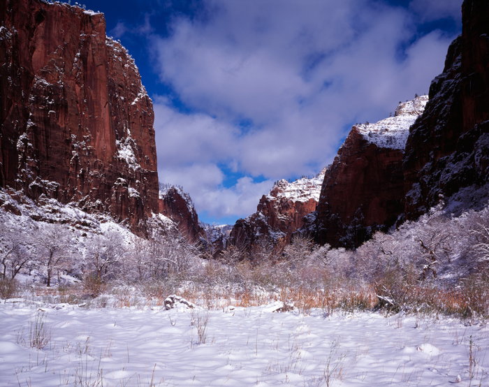 Zion, Snow, Sinawava, Utah
