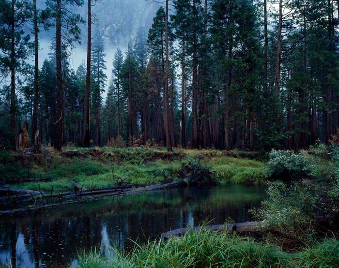Yosemite Merced River, California