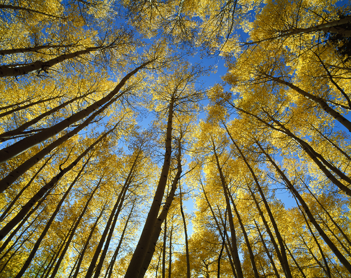 CR 858, Colorado - Tirage Cibachrome