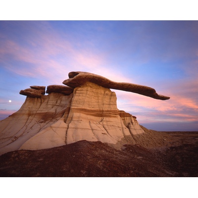 The Blade King of Wings, New Mexico