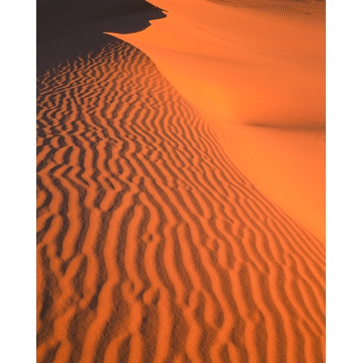 Coral Pink Sand Dune, Utah