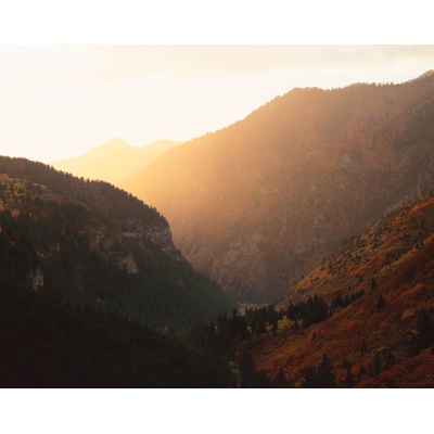 Uinta Forest, Utah