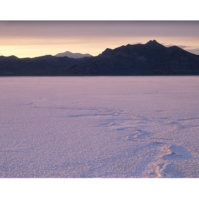 Bonneville Salt Flats, Utah
