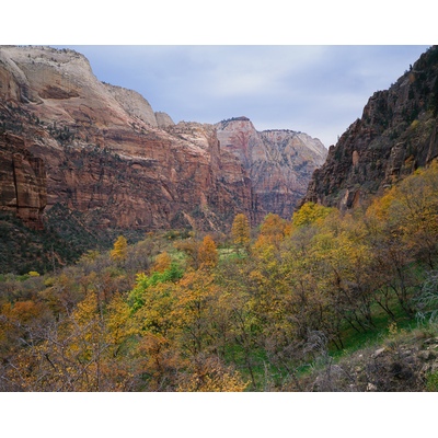 Zion Canyon National Park, Utah