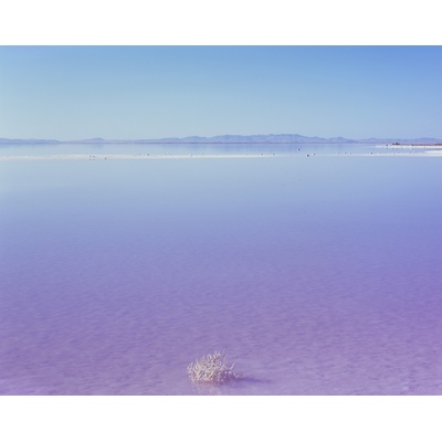 Stansbury Island, Great Salt Lake, Utah