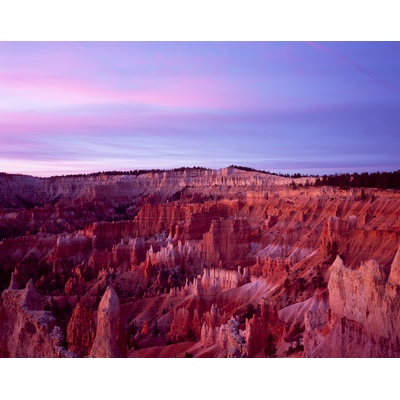 And the light comes thru, Bryce Canyon, Utah