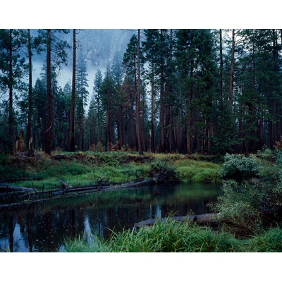 Yosemite Merced River, California