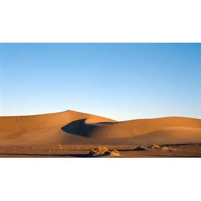 Big Dune, Nevada