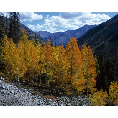 CR 20, Colorado