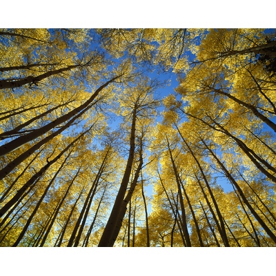 CR 858, Colorado