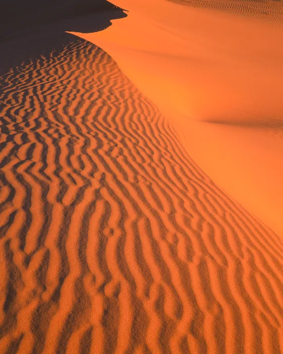 Coral Pink Sand Dune, Utah
