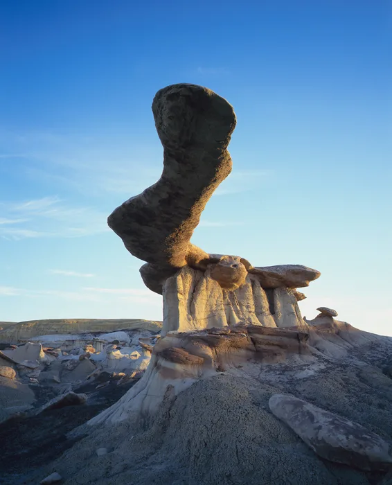 The Blade King of Wings Sunrise, New Mexico