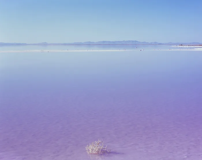 Stansbury Island, Great Salt Lake, Utah