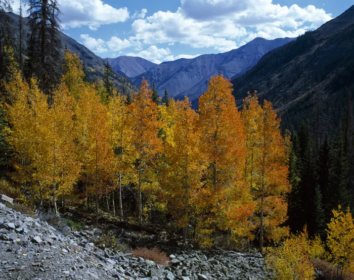 CR 20, Colorado