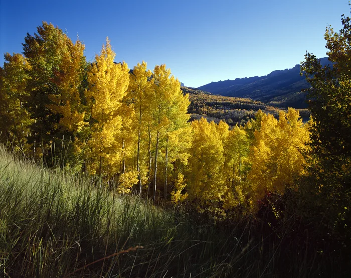 CR 858, Colorado