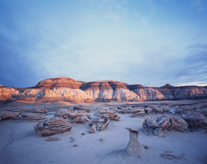 Bisti Wilderness Area, New Mexico - Voyager aux États-Unis