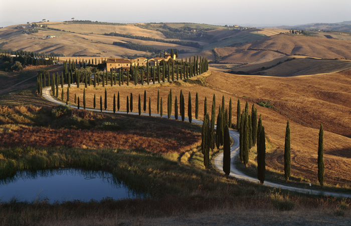 Route de Cyprès, Toscane, Italie