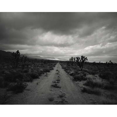 Morning Star Mine Cutoff, California