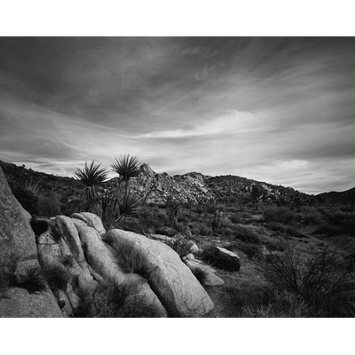 Joshua Rocks, California