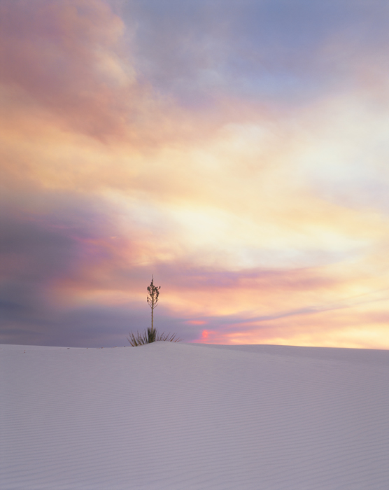 White Sands National Monument, New Mexico